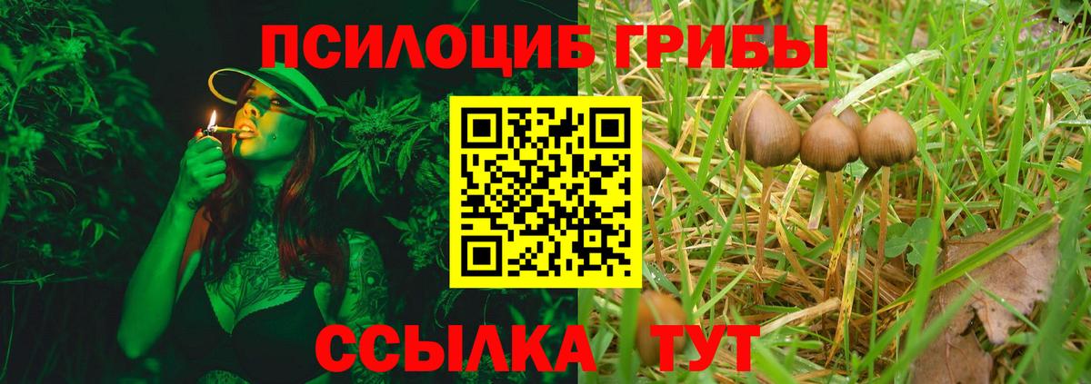 Тельмана  Псилоцибиновые грибы Cubensis  Вход с VPN 